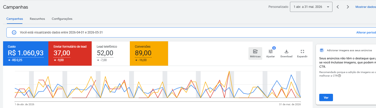 Print do Google Ads — Petshop